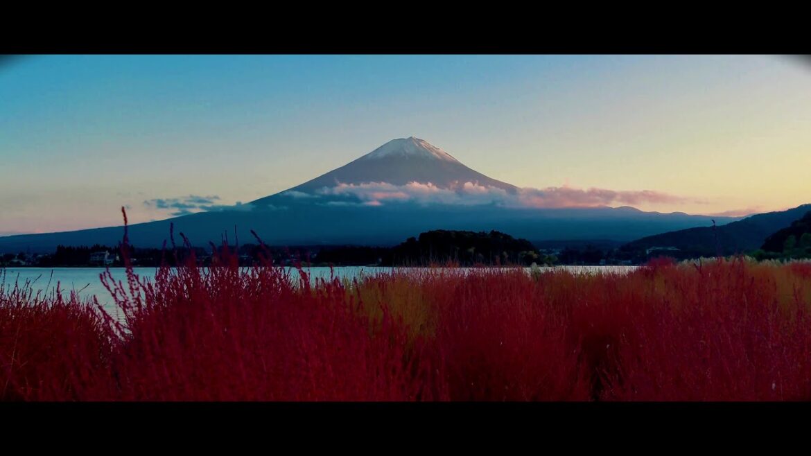 Glimpses of Japan, 2023