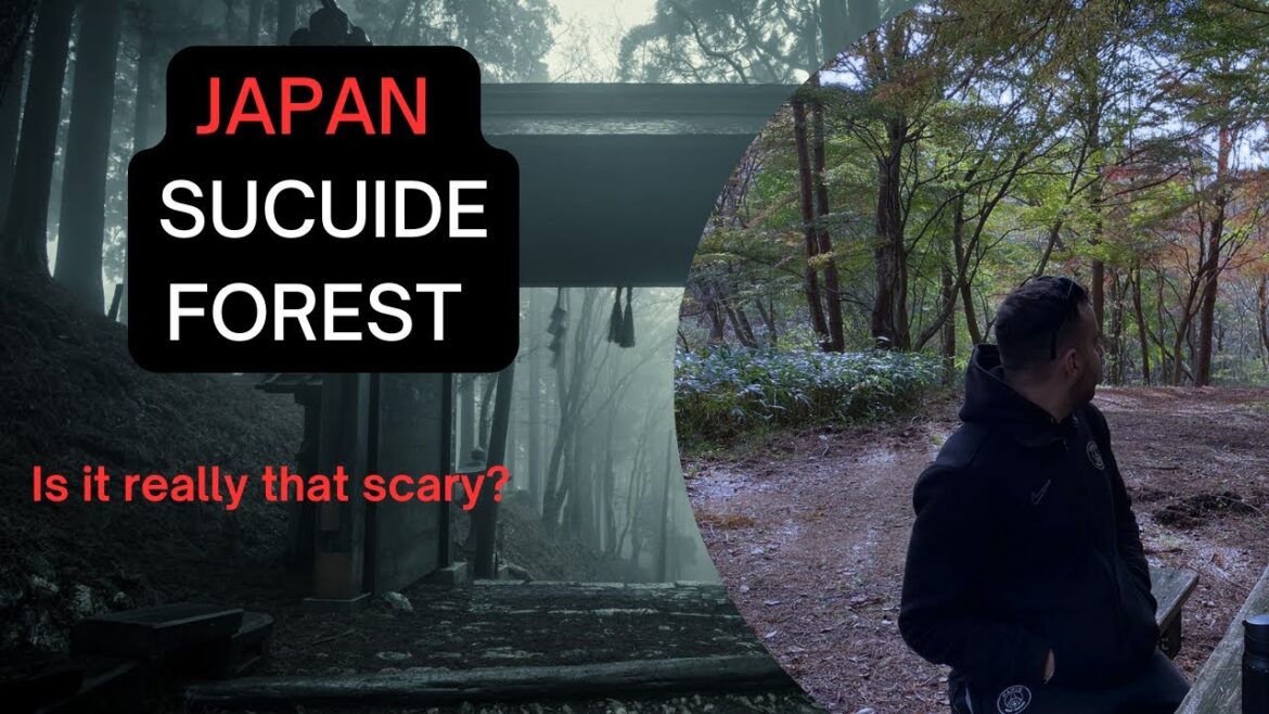 Unveiling Enigmatic Maya Mountain: Secrets of the Suicide Forest