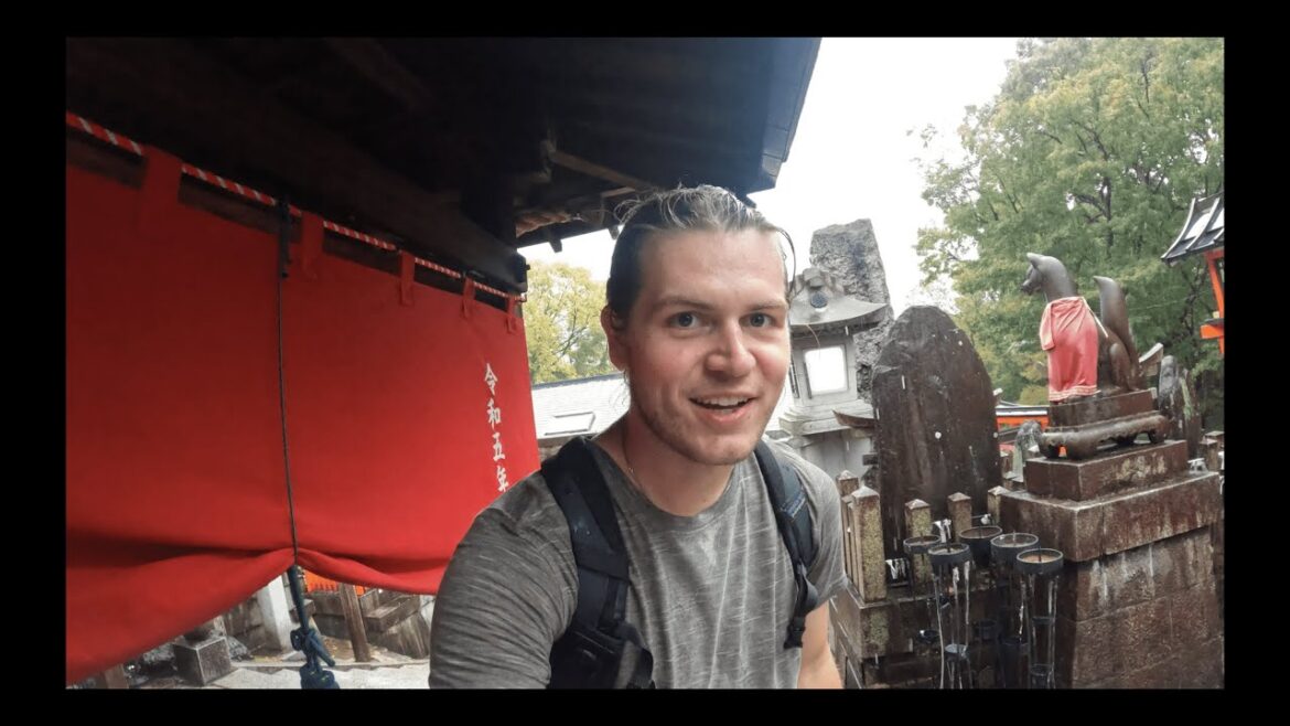 I Ran Into Japanese Killer Hornets in Kyoto, Japan! I Ran Into Japanese Killer Hornets in Kyoto, Japan!