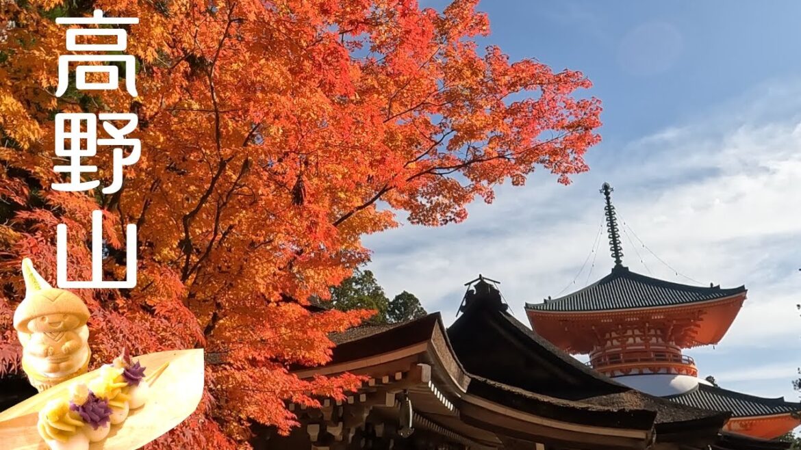 【奈良&和歌山ドライブ】奈良県野迫川村でドライブスルー雲海!? | 鶴姫公園 : 標高1180.3mの360度パノラマビュー | 和歌山県 高野大滝・高野山で紅葉狩り【vlog】