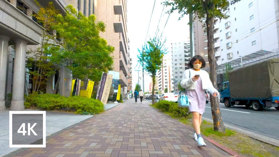 Stroll through the backstreets of Nagoya - Nagoya Japan street tour [4K/60fps]