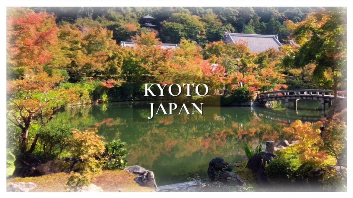 Autumn in Kyoto, Japan | Eikando | 秋の永観堂 (4K ASMR) Autumn in Kyoto, Japan | Eikando | 秋の永観堂 (4K ASMR)