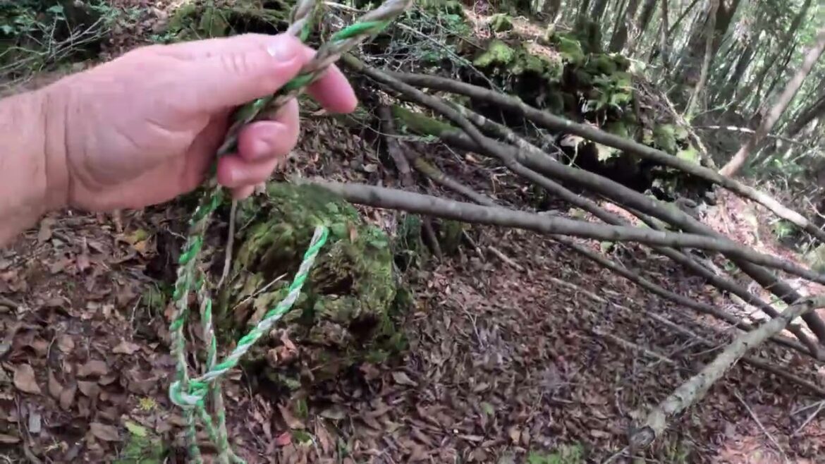 Aokigahara Round 8 Part 4