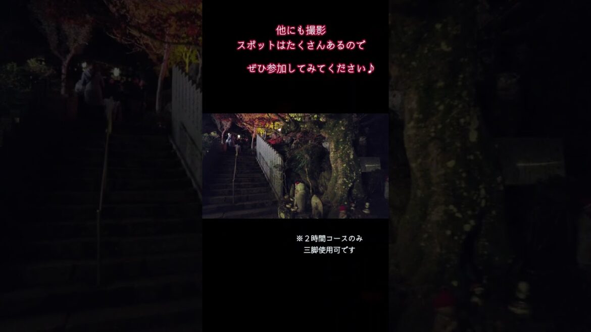 宮島おすすめライトアップ　大聖院 #広島　#Vlog　#tokyocameraclub