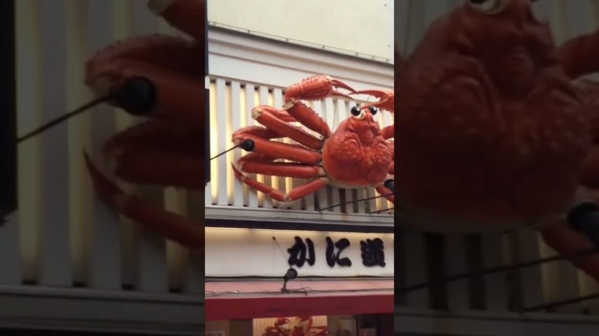 Namba & Dotonbori [Osaka Pt. 2] #osaka #namba #dotonbori #japan #japanese