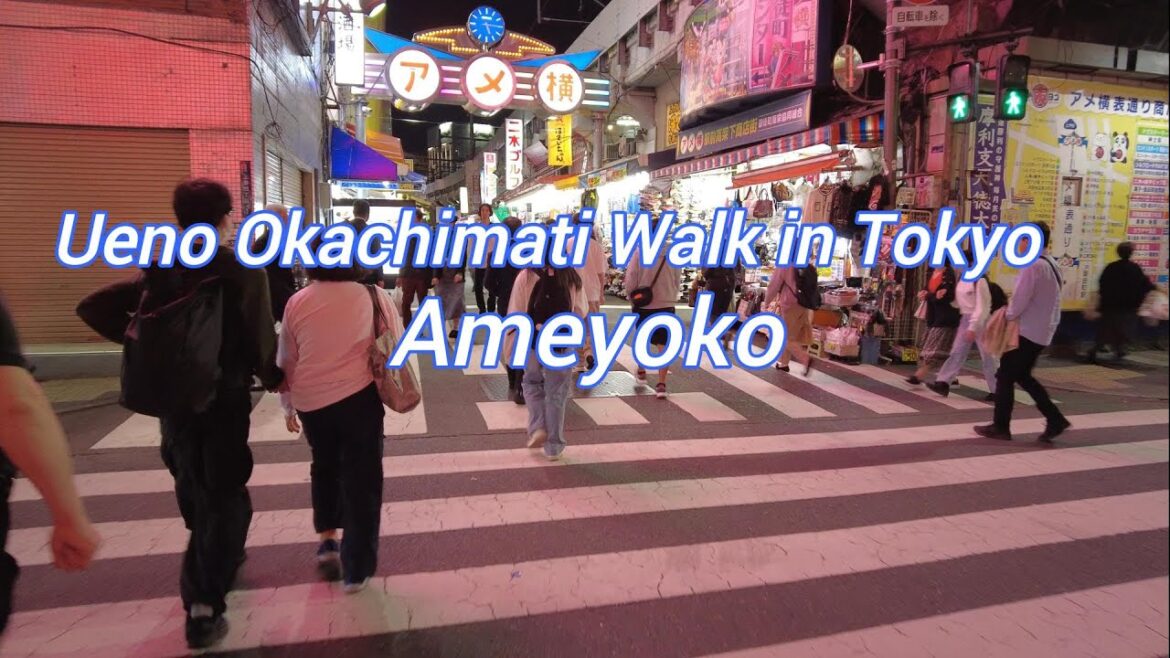 Ueno Okachimachi Walk in Tokyo  Japnan Tour