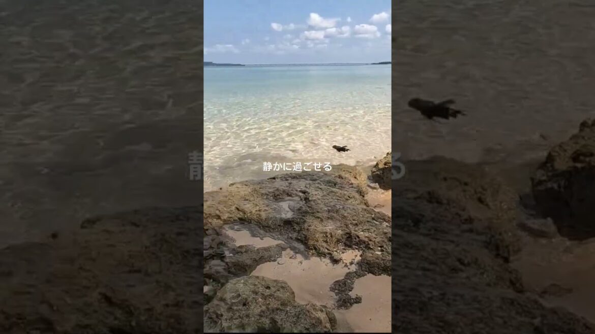 宮古島旅行で一番気に入った絶景穴場スポット『西浜ビーチ』が超絶癒やしスポットだった···✨ #旅行 #ふたり旅 #沖縄旅行 #宮古島 #shorts