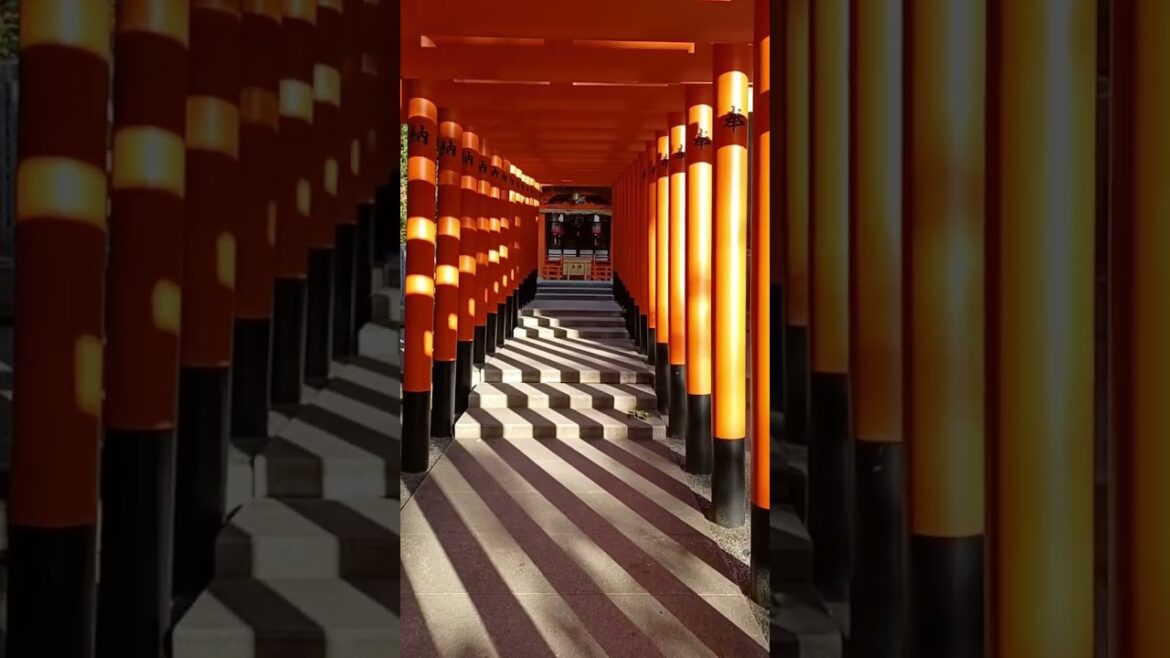 Similar to Fushimi Inari…? - Ikuta Shrine in Kobe