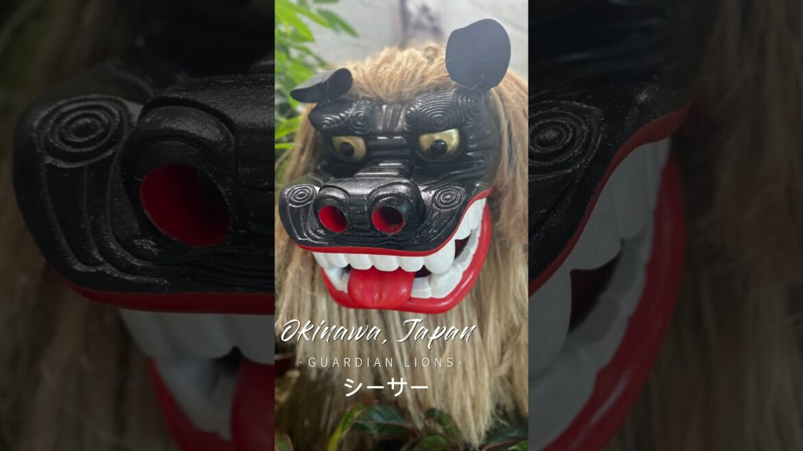 Okinawa -沖縄 シーサー ෂිසා සිංහ ප්රතිමා #japan #nature #travel #travelvlog #沖縄旅行 #viral #viralshorts Okinawa -沖縄 シーサー ෂිසා සිංහ ප්රතිමා #japan #nature #travel #travelvlog #沖縄旅行 #viral #viralshorts