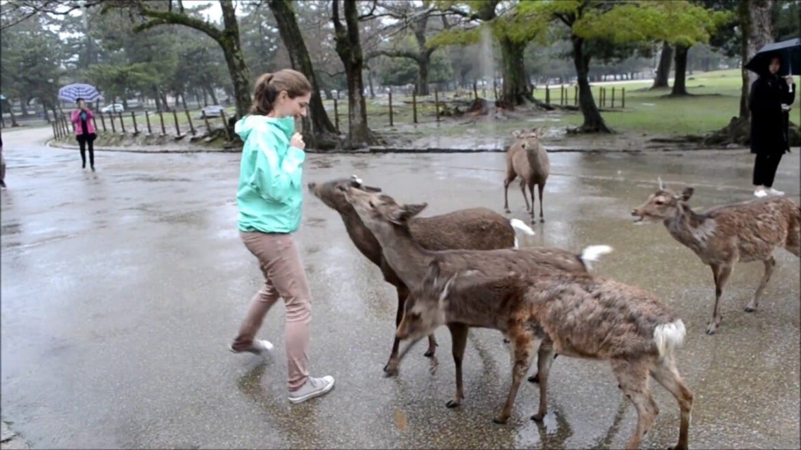 Japan 2016