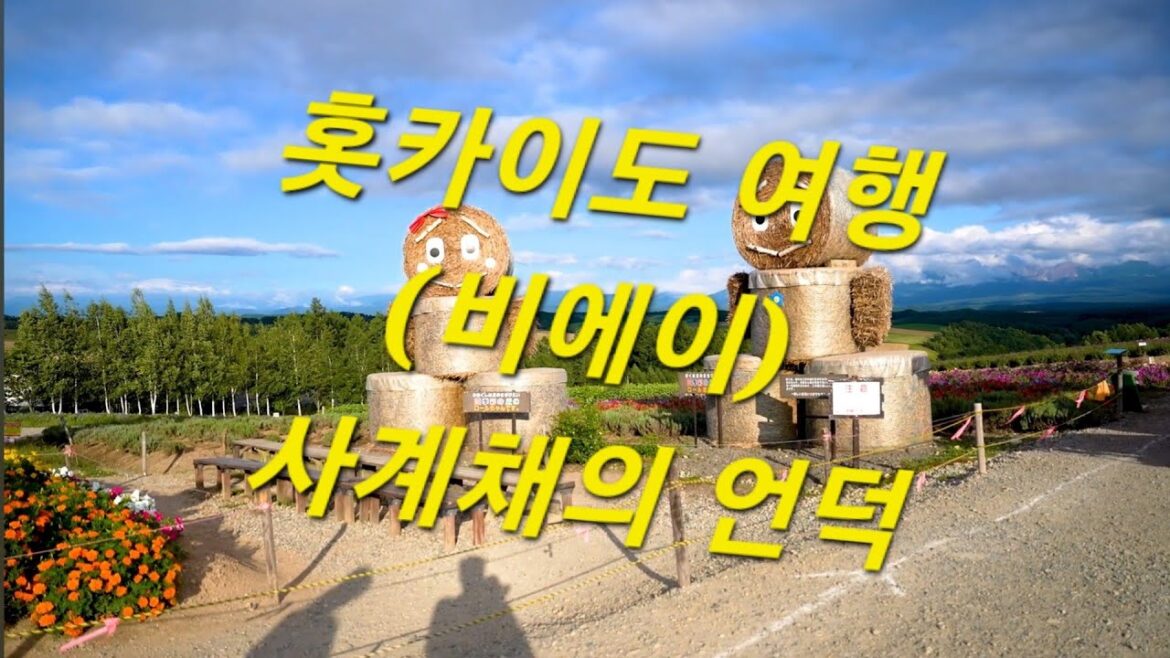 홋카이도 여행  (비에이) 사계채의 언덕 : Hokkaido Travel (Biei) shikisainooka