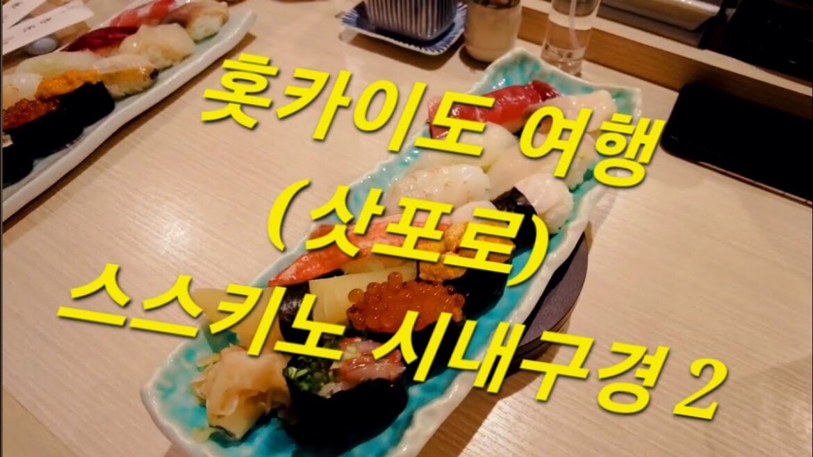 홋카이도 여행 (삿포로) 스스키노 시내구경2 : Hokkaido Travel (Sapporo) susukino a tour of the city 2