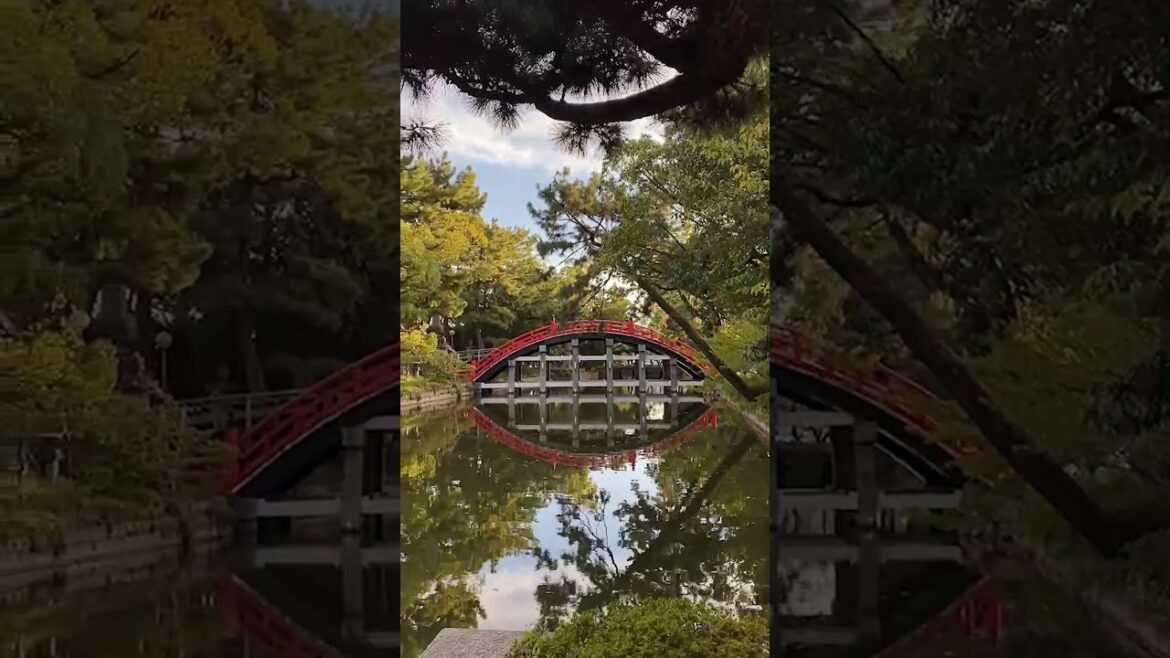 GHIBLI or REAL LIFE???