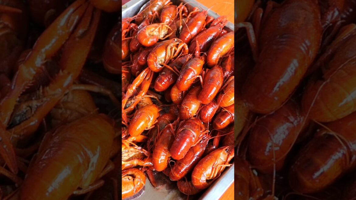 Shrimp 🦐🦐 in 1 minute