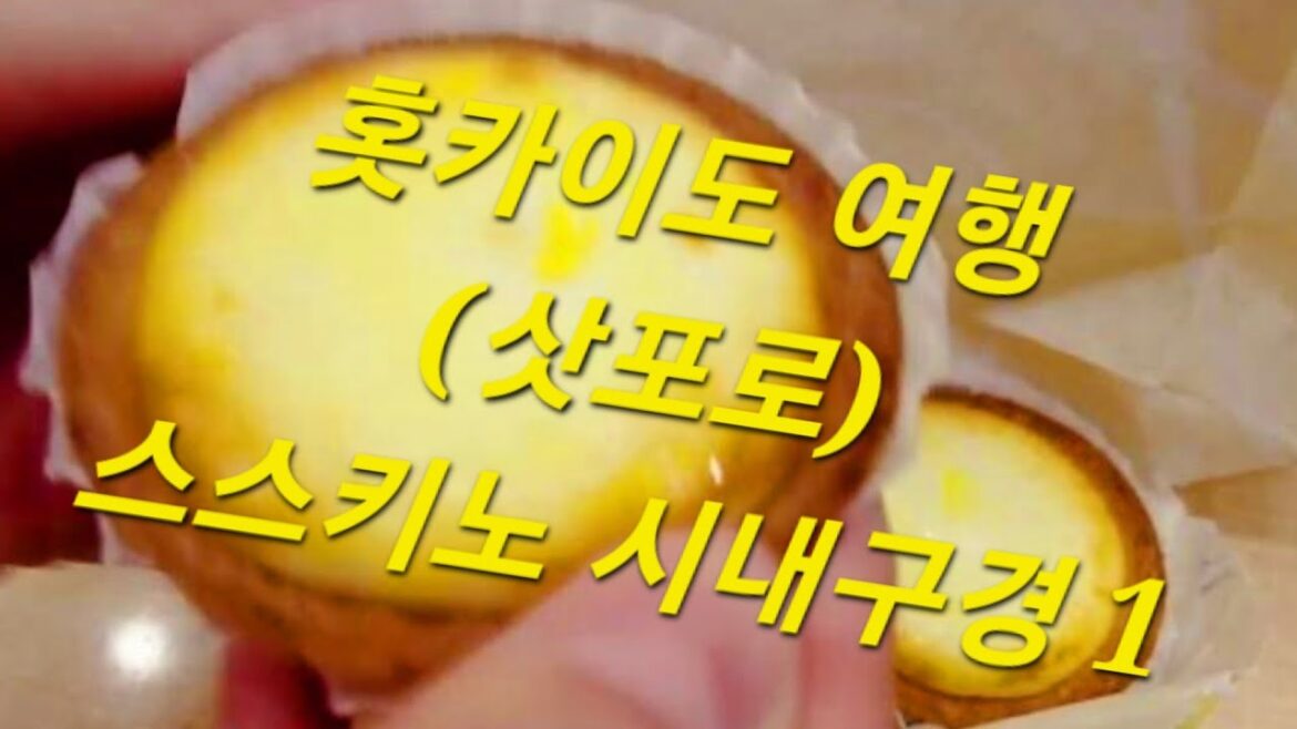 홋카이도 여행 (삿포로) 스스키노 시내구경1 : Hokkaido Travel (Sapporo) susukino a tour of the city 1