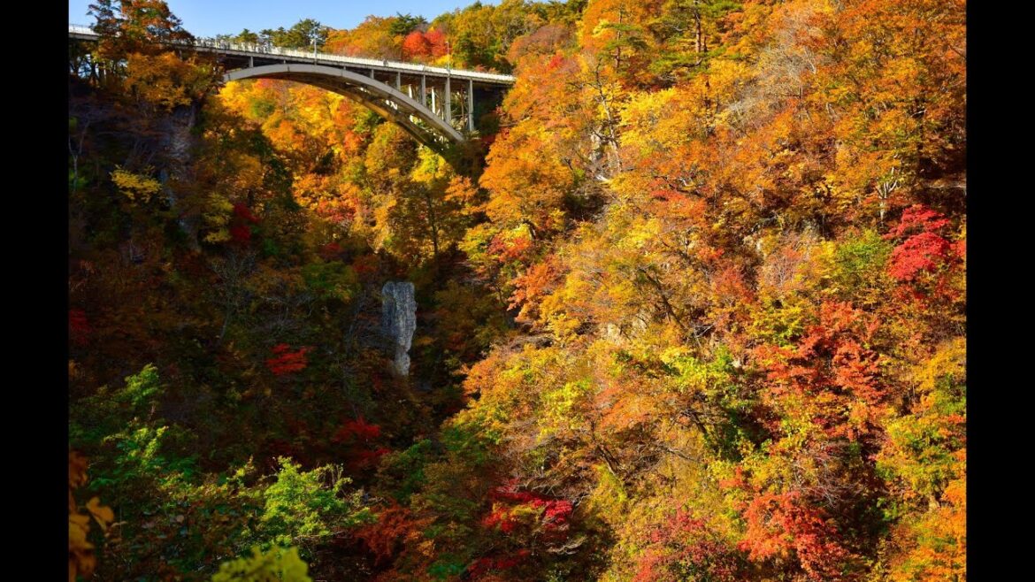 日本東北  I  自駕  I  賞楓   Part IV (End)