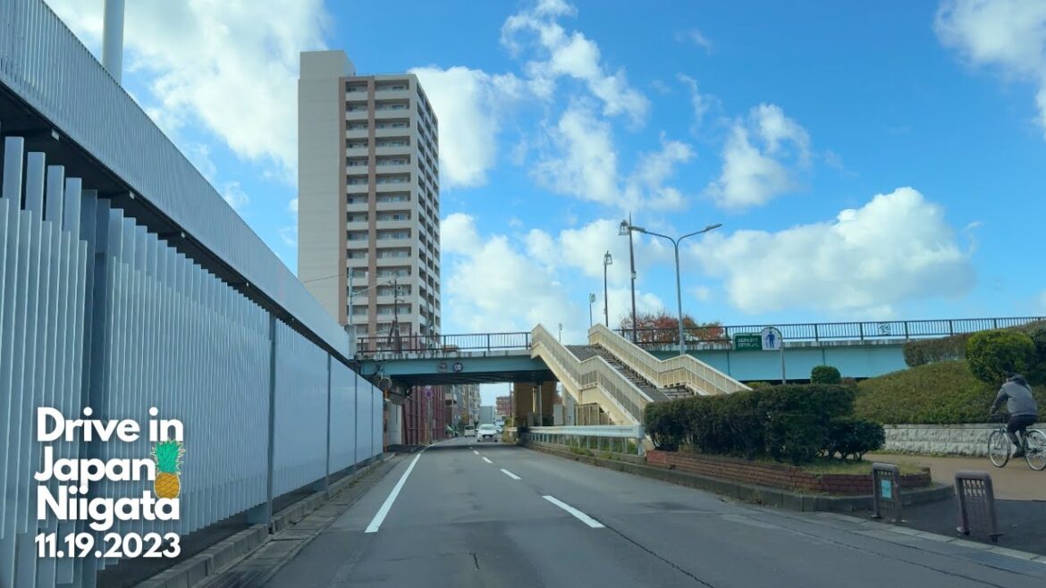 日本ドライブ - 新潟 - 11月19日2023年 | Drive in Japan - Niigata - 11.19.2023