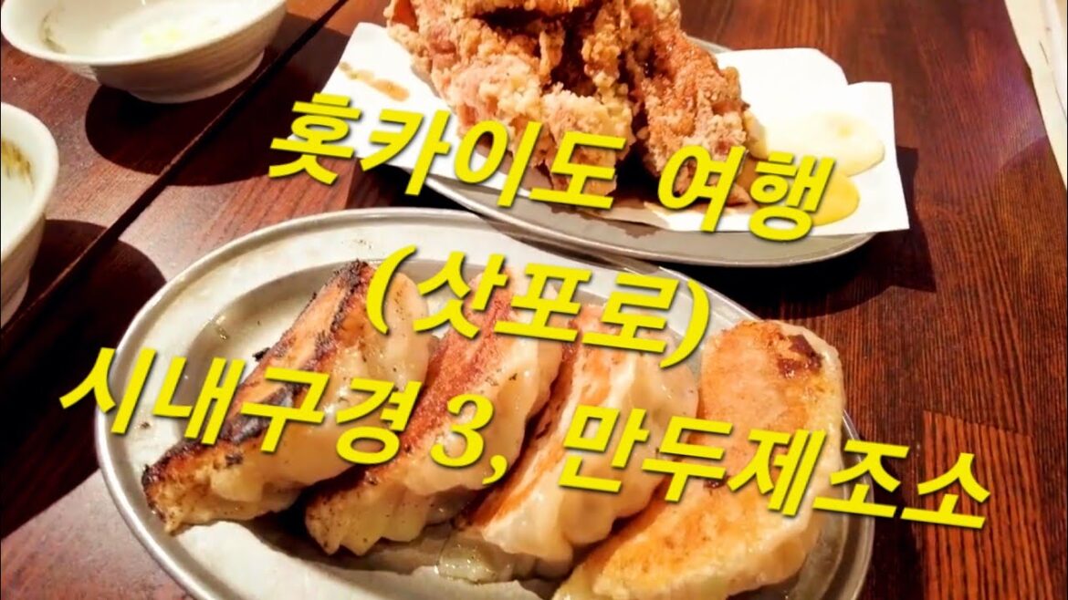 홋카이도 여행 (삿포로) 스스키노 시내구경 3, 교자제조소(인생교자) : Hokkaido Travel (Sapporo) susukino a tour of the city 3