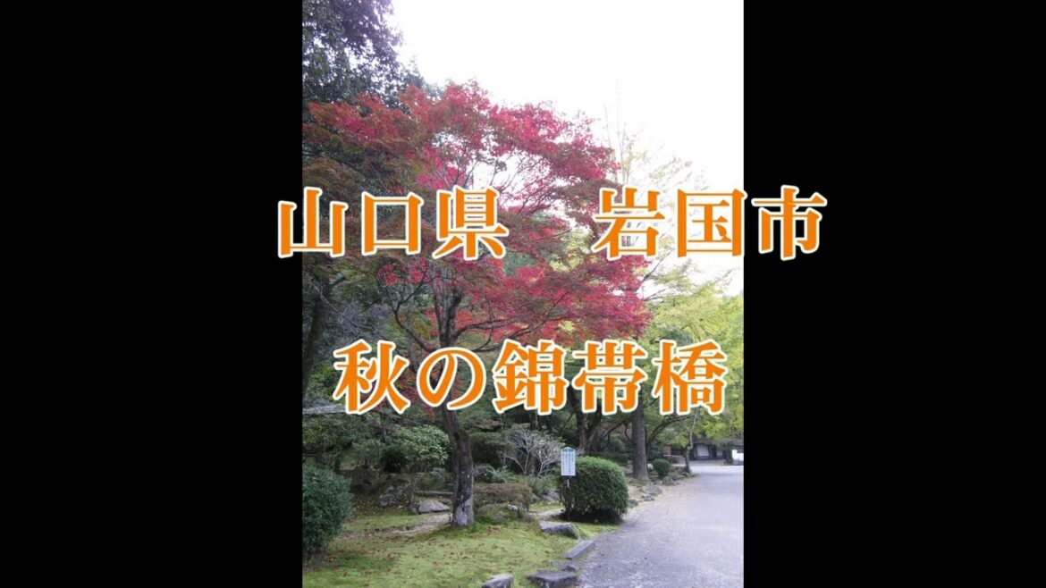【山口県】岩国 秋の錦帯橋 【山口県】岩国 秋の錦帯橋
