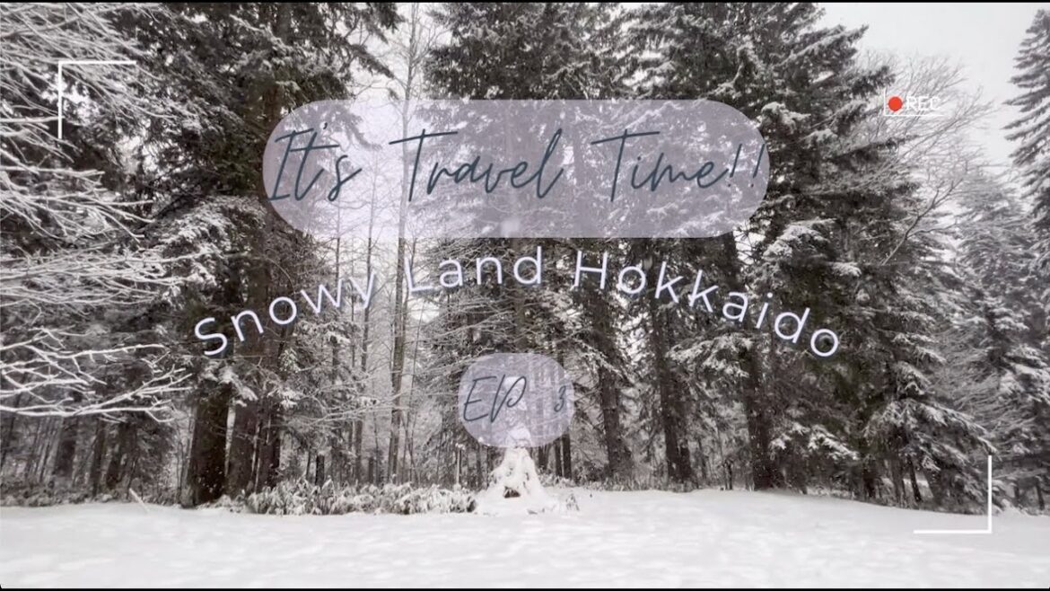 [🇯🇵北海道VLOG] 7日初遊雪國北海道 - EP 3 (洞爺湖溫泉酒店Room tour | 狸小路酒店Room tour | 小樽運河)