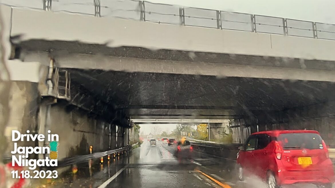 日本ドライブ - 新潟 - 11月18日2023年 | Drive in Japan - Niigata - 11.18.2023