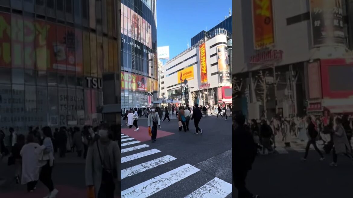 Would you visit Shibuya? 🤔 #travel #destinations #Japan #tokyo #shibuya #shibuyacrossing #pokemon