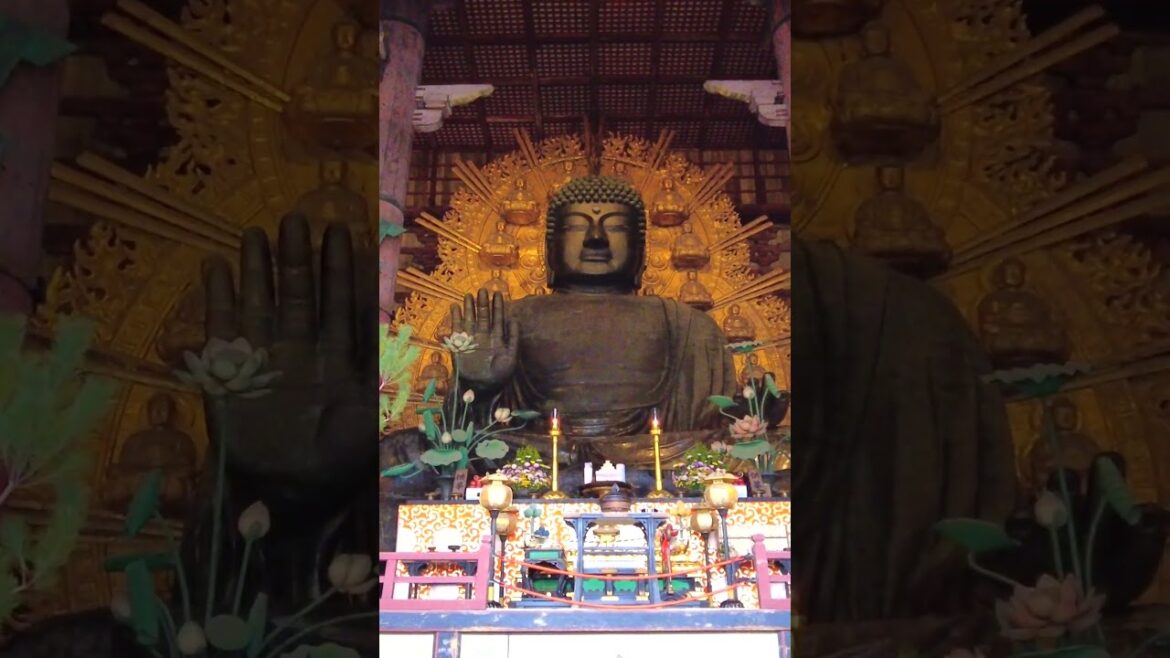 Japan's BEST Temple Todaiji #japanesetravel