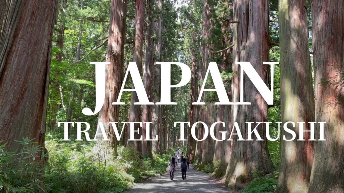 [Nagano Travel]Togakushi Travel Guide[Japan]