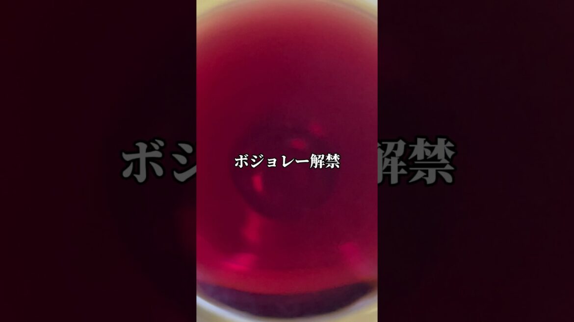 ボジョレー解禁「うますぎた」セイコーマートで買いました #vlog #shorts