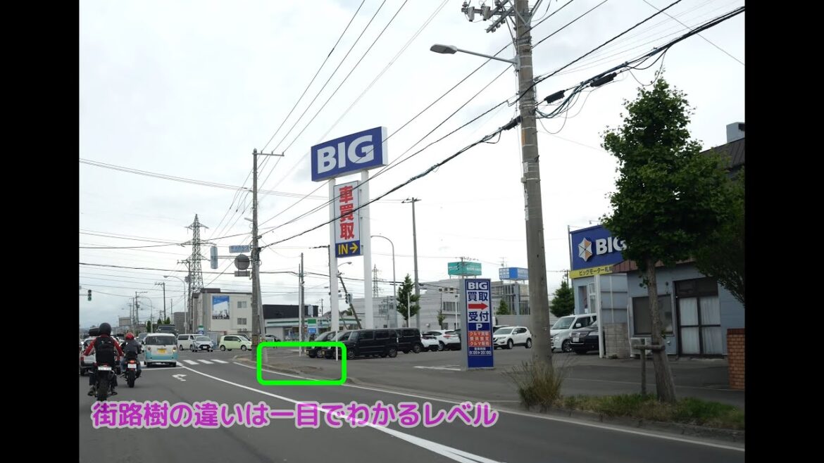 ビッグモーター札幌厚別店 前の街路樹変遷（2017年～2023年）