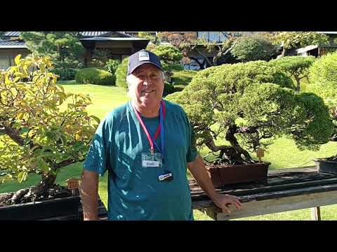 Kosher Japan with Josh Rubin and Kosher World Adventures For 50+ Kosher Japan with Josh Rubin and Kosher World Adventures For 50+