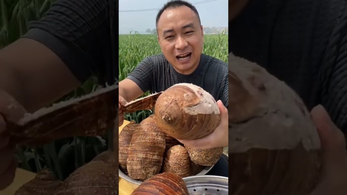 #subscribetomychannel |Asian Street foods | Dosa #shots #shreetfood  #shorts  #food #cooking #subscribetomychannel |Asian Street foods | Dosa #shots #shreetfood  #shorts  #food #cooking