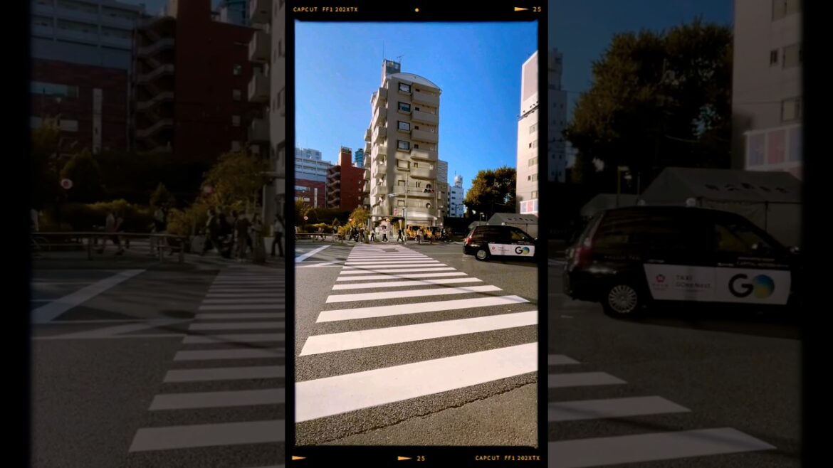 Late summer in Tokyo #tokyo #japan #travel #traveling #adventure #explore #japantravel #japanvlog Late summer in Tokyo #tokyo #japan #travel #traveling #adventure #explore #japantravel #japanvlog