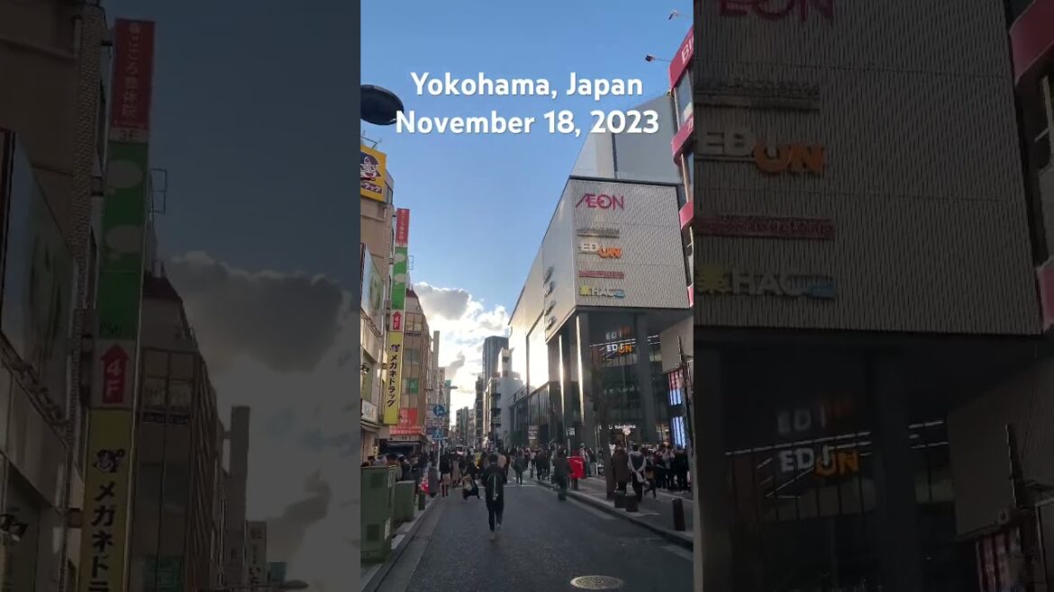 Yokohama, Japan November 18, 2023 #japanwalker #travel #vlog #japanesecity
