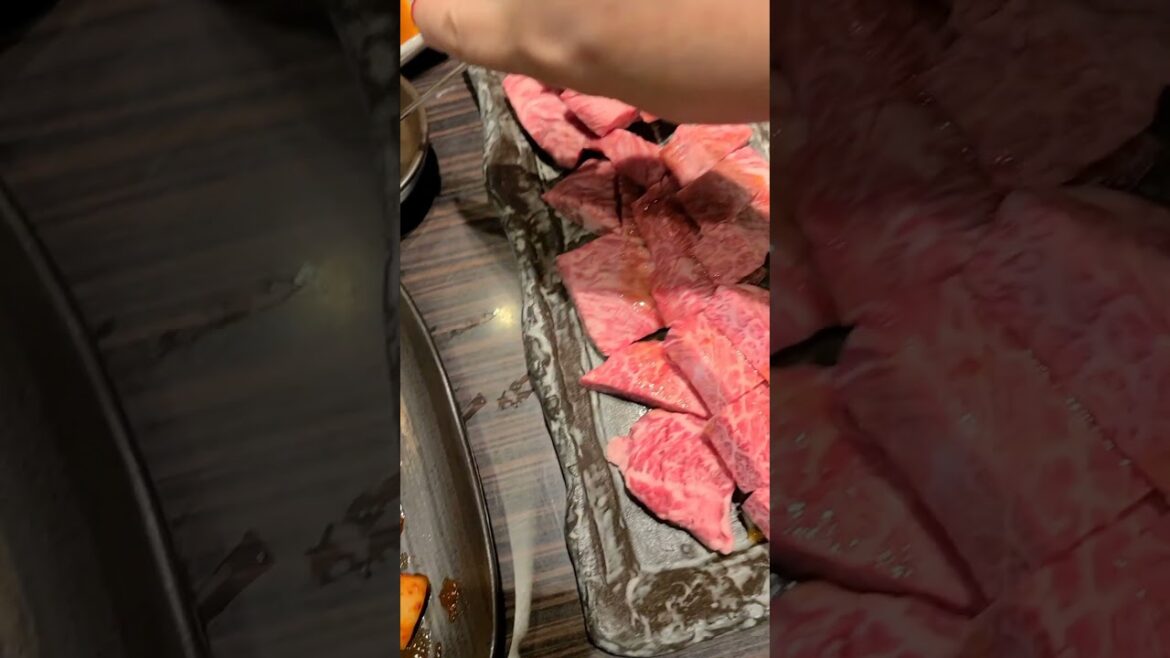 23년 코코초이 오사카여행♡