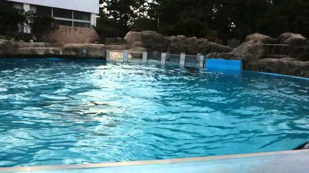 Kamogawa Sea World, Japan, October 22, 2013