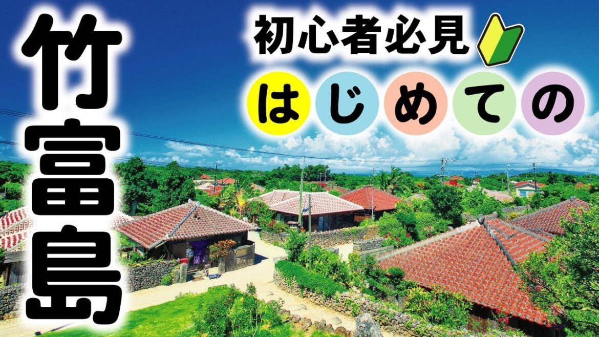 初めての竹富島の旅行のすすめ #6　Ishigaki Islands Tour in Okinawa
