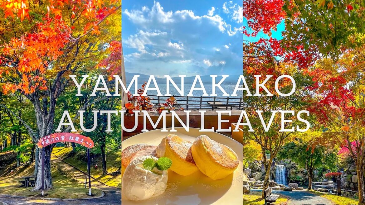 【ひとり旅】紅葉めぐりin山中湖🍁冠雪富士と最高すぎた湖畔カフェ☕️🥞