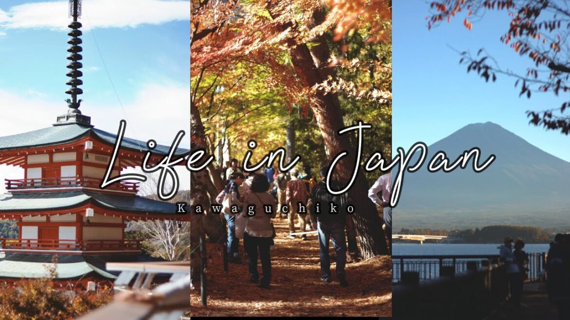Life in Japan | Autumn foliage in Kawaguchiko | Tokyo Vlogs Life in Japan | Autumn foliage in Kawaguchiko | Tokyo Vlogs