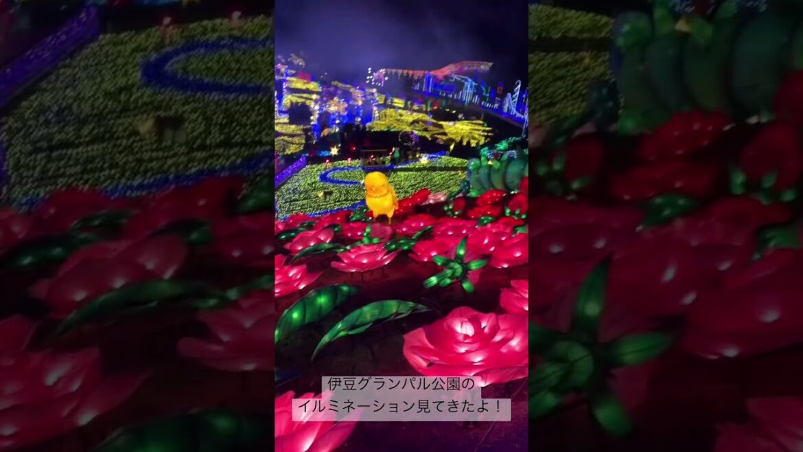 伊豆グランパル公園のイルミネーションが最高だった