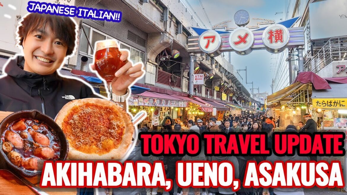 2023 November Tokyo Travel Situation Update from Akihabara, Ueno, and Asakusa Ep.442 2023 November Tokyo Travel Situation Update from Akihabara, Ueno, and Asakusa Ep.442