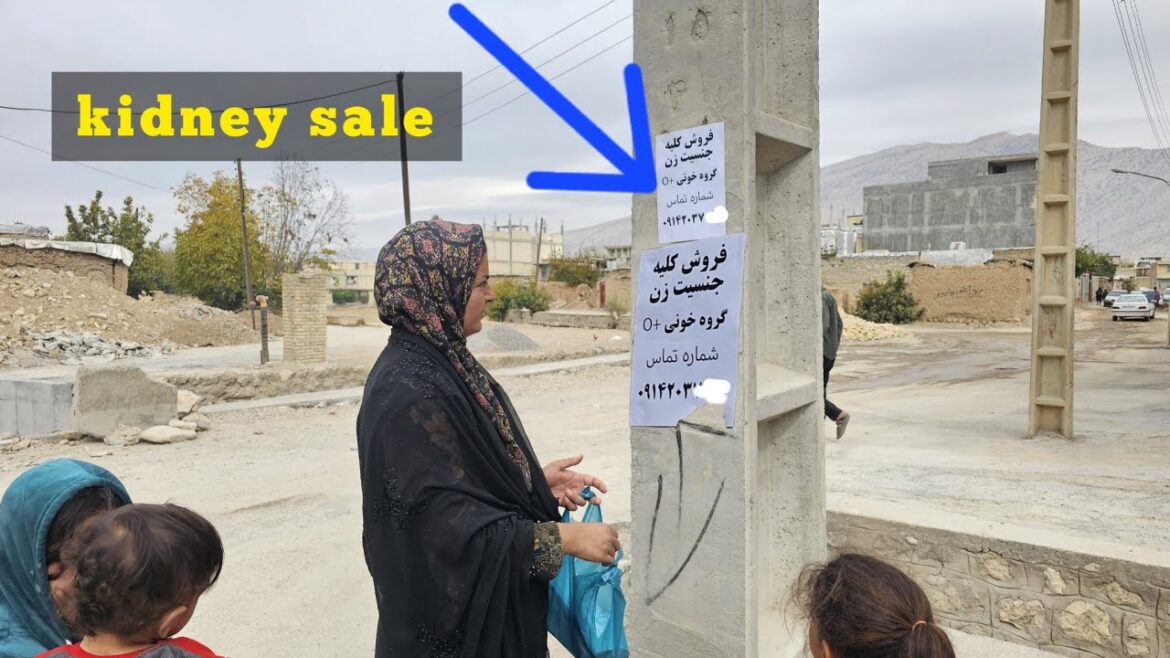 Desperate Measures: Zainab's Choice to Sell Her Kidney Amidst Nomadic Struggles