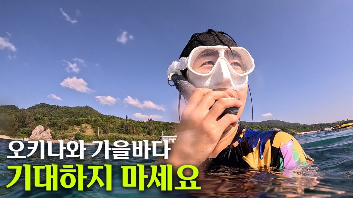 🇯🇵 일본의 하와이 오키나와 바다 탐색전 | 프리다이버가 바다를 즐기는 방법🐡🪸🐠 | 블루씰 아이스크림