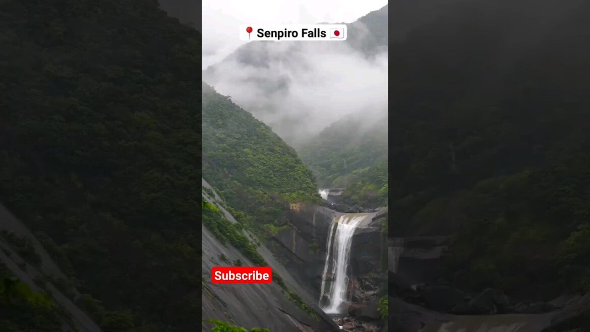 Senpiro Falls in Yakushima Island 🇯🇵 #shorts #nature #travel #viral #japan