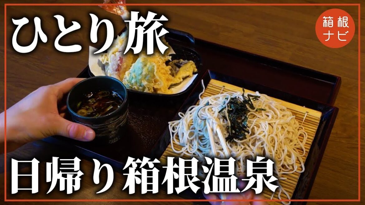 【箱根 一人旅】達人の温泉グルメ満喫日帰り旅行【vlog】 【箱根 一人旅】達人の温泉グルメ満喫日帰り旅行【vlog】