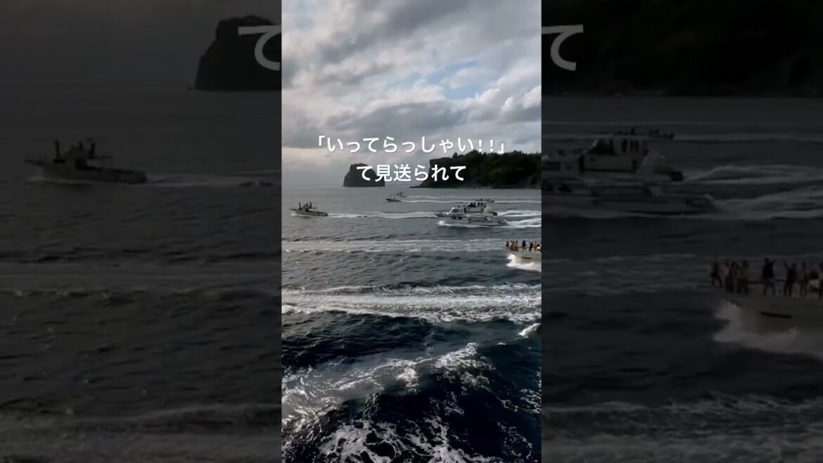 父島のお見送り/感動 #shorts #ショート #旅行 #小笠原諸島 #travel