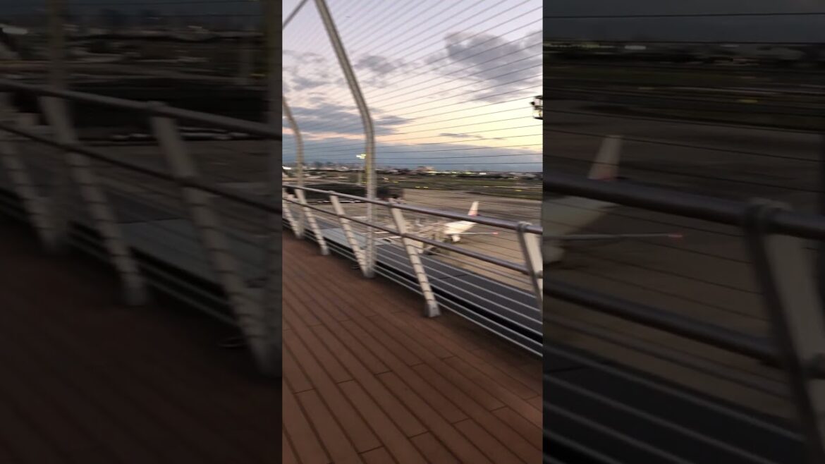 【OSAKA】Must-See Good View Spot - Itami Airport Observation Deck