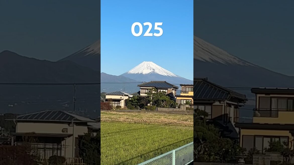025 Mt. Fuji everyday! 2023, 11/19! Nice Day! #mountfuji #fuji #Japan 025 Mt. Fuji everyday! 2023, 11/19! Nice Day! #mountfuji #fuji #Japan