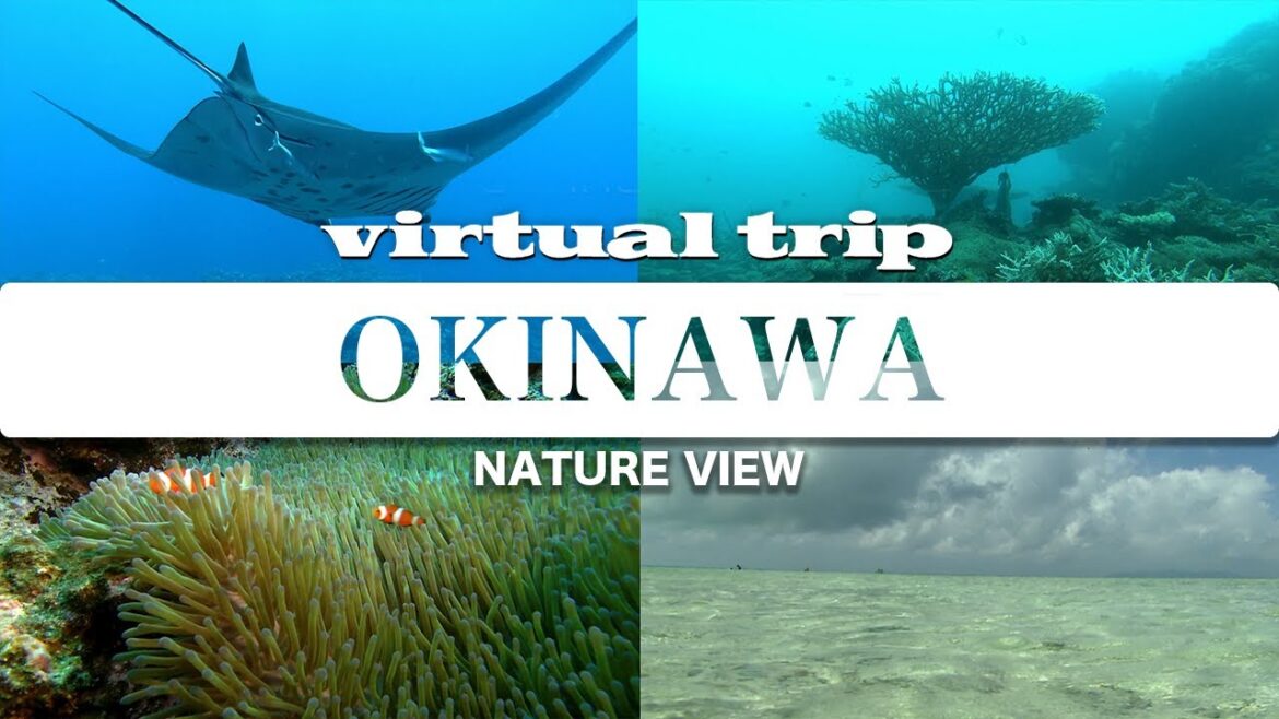Japan’s pride, one of the world’s premier coral reef regions / Yaeyama / Okinawa / virtual trip Japan's pride, one of the world's premier coral reef regions / Yaeyama / Okinawa / virtual trip