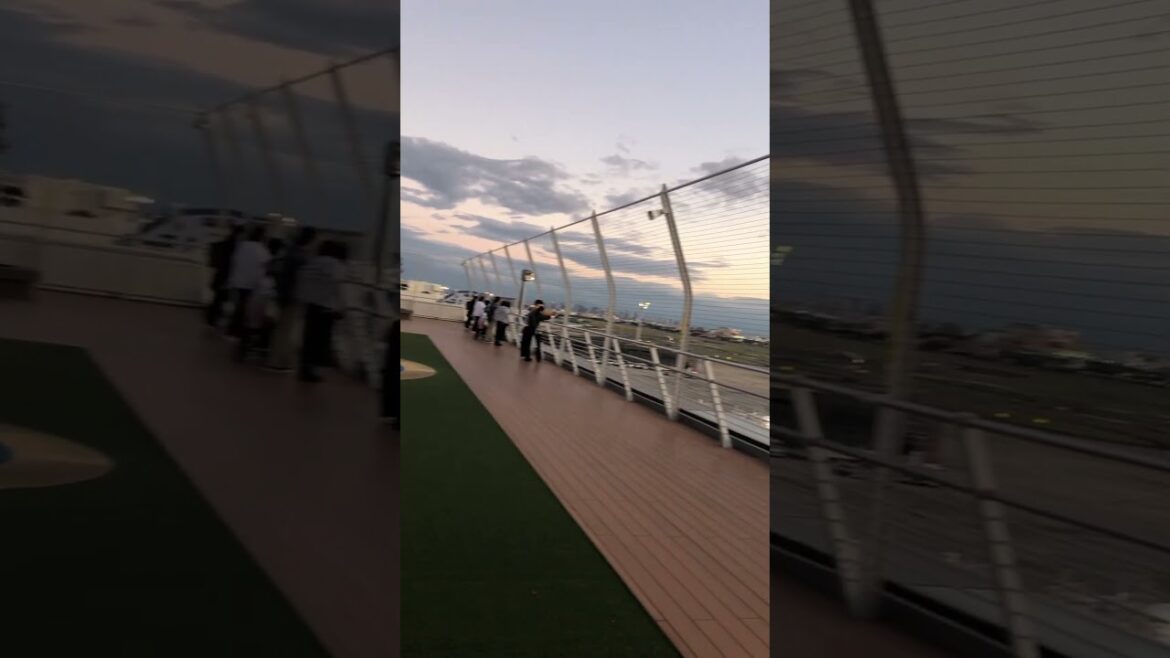 【OSAKA】Must-See Sunset Spot - Itami Airport